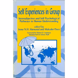 UBC Press Self Experiences in Group, Livre broché, 192 pages