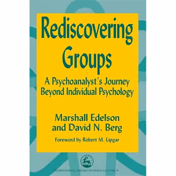 UBC Press Rediscovering Groups, Livre broché, 450 pages