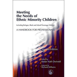 UBC Press Meeting the Needs of Ethnic Minority Children - Including Refugee, Black and Mixed Parentage Children livre