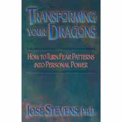 ISBN Transforming Your Dragons, Anglais, Livre de poche, 416 pages
