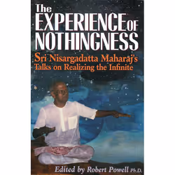 ISBN The Experience of Nothingness, Livre broché, 192 pages