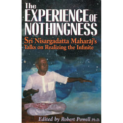 ISBN The Experience of Nothingness livre