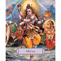 ISBN Shiva, Anglais, Couverture rigide, 96 pages