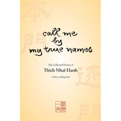 ISBN Call Me by My True Names livre