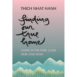 ISBN Finding Our True Home livre