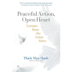 ISBN Peaceful Action, Open Heart livre