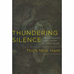 ISBN Thundering Silence, Livre broché, 80 pages
