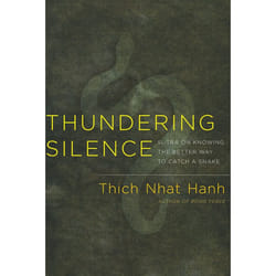 ISBN Thundering Silence livre
