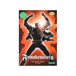 ISBN Frankenstein: The Graphic Novel (American English, Quick Text Edition), comédies & nouvelles graphiques, Anglais, 14 ...