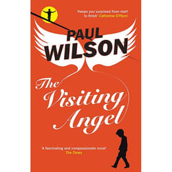 Allen & Unwin The Visiting Angel livre fiction litéraire Anglais