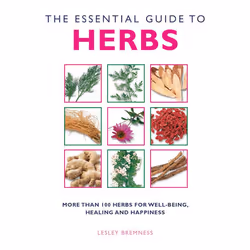 ISBN The Essential Guide to Herbs, nourriture & boisson, Anglais, Livre broché, 244 pages