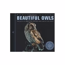 ISBN Beautiful Owls : Portraits of Arresting Species from Around the World, Photographie, Anglais, 112 pages