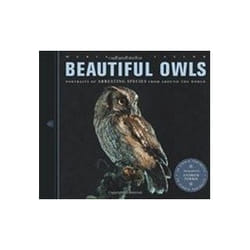 ISBN Beautiful Owls : Portraits of Arresting Species from Around the World livre Photographie Anglais