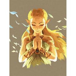Piggyback The Legend Of Zelda: Breath Of The Wild livre Instruction de jeu/jouet Anglais Couverture rigide