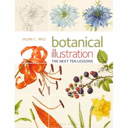 ISBN Botanical Illustration The Next Ten Lessons: Colour and Composition, Anglais, Livre broché, 144 pages