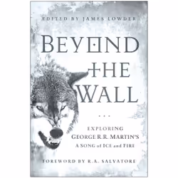 ISBN Beyond the Wall, Anglais, Livre broché, 240 pages