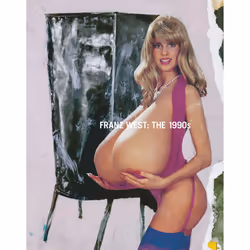 ISBN Franz West: The 1990s, histoire, Anglais, Livre broché, 138 pages