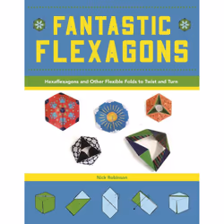 ISBN Fantastic Flexagons, métier &amp; loisirs, Anglais, Livre broché, 96 pages