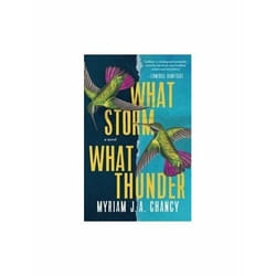 What Storm What Thunder by Myriam J a Chancy