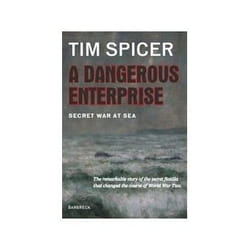 ISBN Dangerous Enterprise livre politique Anglais Couverture rigide
