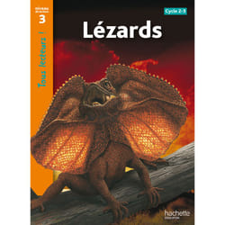 Lézards Niveau 3 - Tous lecteurs ! - Ed.2010