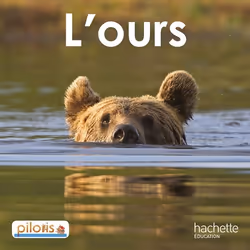 ISBN Lecture CP - Collection Pilotis - Album 2 L'Ours - Edition 2013, Éducatif, Français, 24 pages