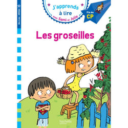 Sami et Julie CP Niveau 3 Les Groseilles (Broché)