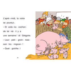 Sami et Julie CP Niveau 2 Sami à la ferme (Broché)