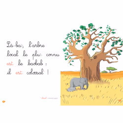 En route pour la savane, niveau 2 - J'apprends à lire Montessori (Broché)