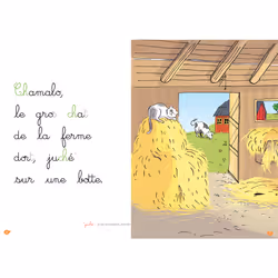 Bravo Chamalo ! - niveau 2 (Broché)