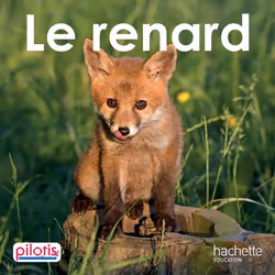 ISBN Lecture CP - Collection Pilotis - Le Renard - Album - Edition 2019, Éducatif, Français, 24 pages