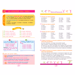 BLED Les 50 règles d'or de l'orthographe (Broché)