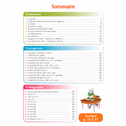 Pour Comprendre Français CE1-CE2 - Spécial DYS (dyslexie) et difficultés d'apprentissage (Broché)