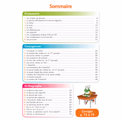 Pour Comprendre Français CM1-CM2 - Spécial DYS (dyslexie) et difficultés d'apprentissage (Broché)