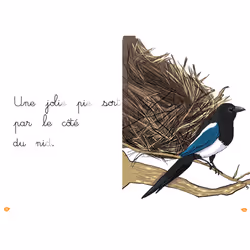 La pie bavarde - niveau 1 (Broché)
