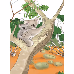 L'île du koala, niveau 1 - J'apprends à lire Montessori (Broché)