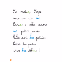 Lapin malin, niveau 2 - J'apprends à lire Montessori (Broché)