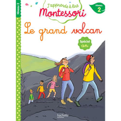 Le grand volcan - niveau 2 (Broché)