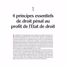 Fondamentaux - Les 7 principes du droit pénal (3e édition)
