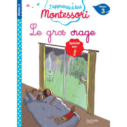 Le gros orage - niveau 3 : spécial son j (Broché)