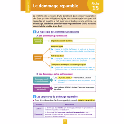 Objectif Bac Fiches 1re et Term STMG  Droit et Économie - Nouveaux programmes (Broché)