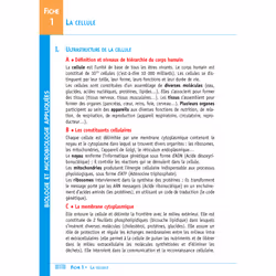 Objectif Bac Fiches BAC Pro ASSP (2nd-1re-Term) (Broché)