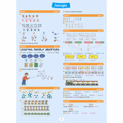 Pour Comprendre Maths CP (Broché)
