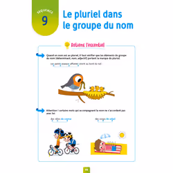 Pour Comprendre Dictées CE1 (Broché)