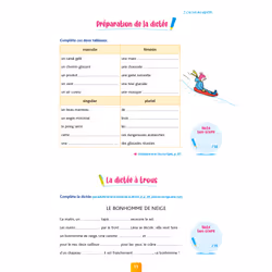 Pour Comprendre Dictées CM1 (Broché)