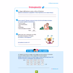 Pour comprendre Résolution de problèmes CE2 (Broché)