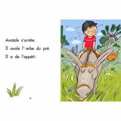 J'APPRENDS A LIRE AVEC SAMI ET JULIE : SAMI A DOS D'ANE. DEBUT DE CP, NIVEAU 1, Bonté Thérèse