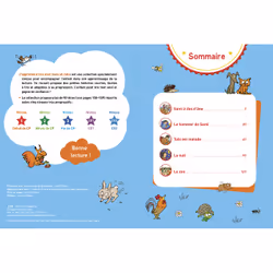 Sami et Julie Début de CP 5 histoires Spécial animaux (Broché)