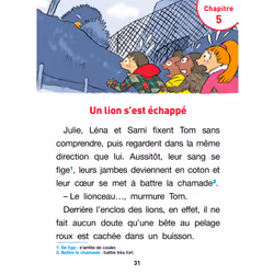 Sami et Julie Roman CE2 Panique au zoo (Broché)