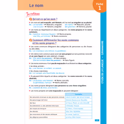 Objectif CRPE - 100 fiches efficaces pour bien réviser  - Français, épreuve écrite d'admissibilité (Broché)